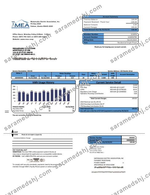 USA MEA Alaska electricity business utility bill template in Word and PDF formats